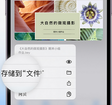 永仁apple维修中心分享iPhone文件应用中存储和找到下载文件