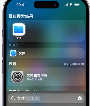 永仁apple维修中心分享iPhone文件应用中存储和找到下载文件 