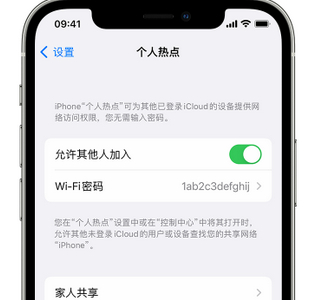 永仁apple服务站点分享iPhone上个人热点丢失了怎么办 