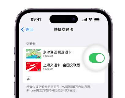 永仁apple维修点分享iPhone上更换Apple Pay快捷交通卡手绘卡面 