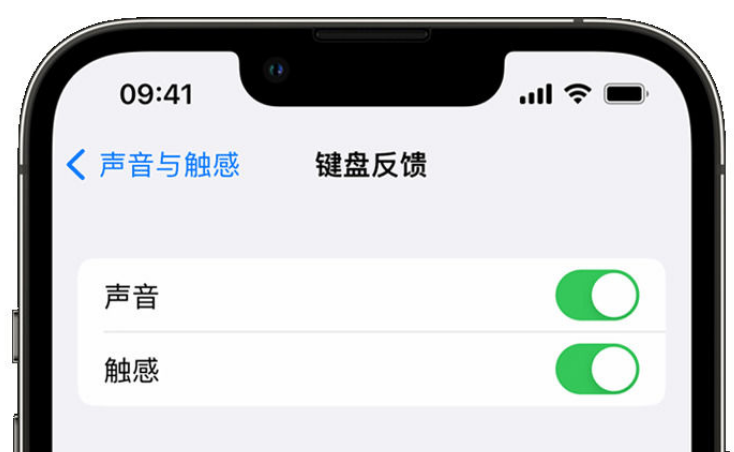 永仁苹果手机维修分享iPhone 14触感键盘使用方法 