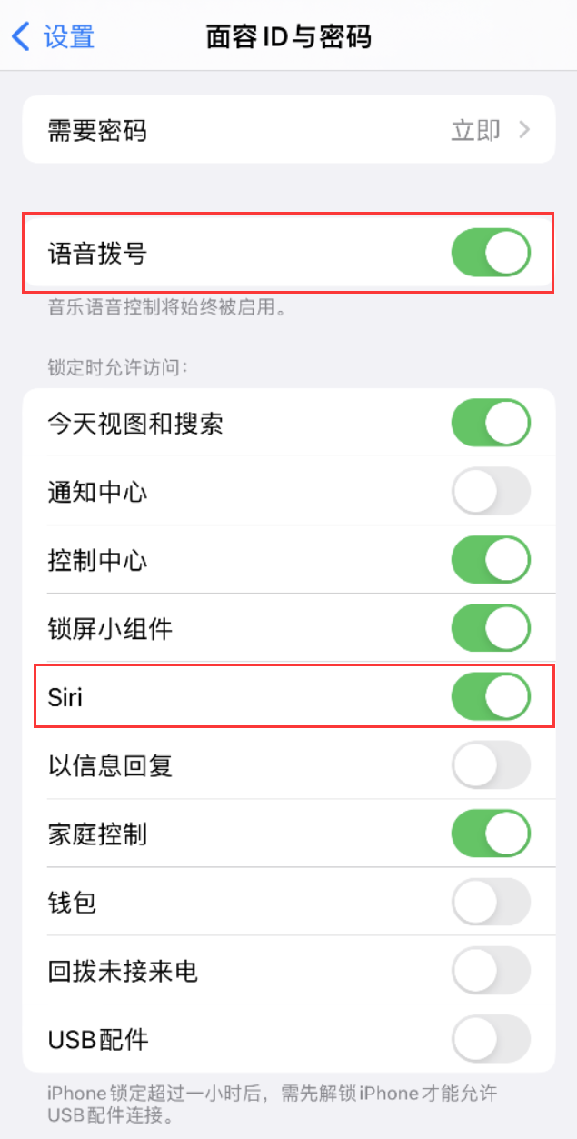 永仁苹果维修网点分享不解锁 iPhone 的情况下通过 Siri 拨打电话的方法 