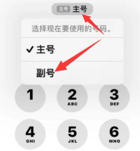 永仁苹果14维修店分享iPhone 14 Pro Max使用副卡打电话的方法 