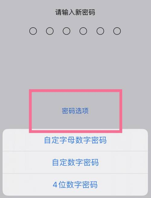 永仁苹果14维修分享iPhone 14plus设置密码的方法 