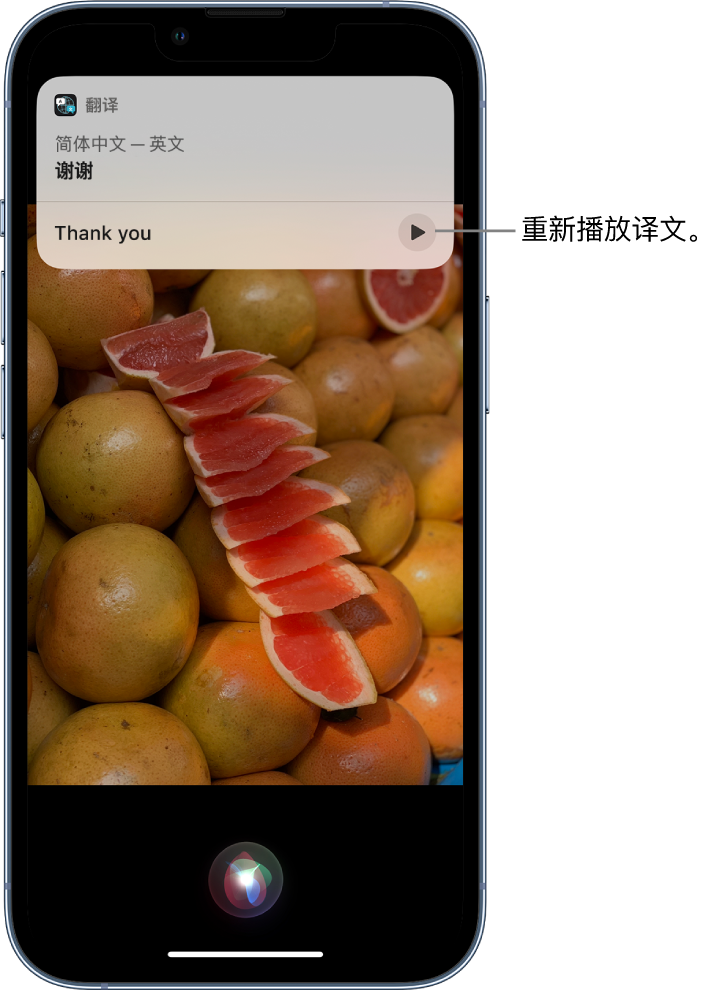 永仁苹果14维修分享 iPhone 14 机型中使用 Siri：了解 Siri 能帮你做什么 