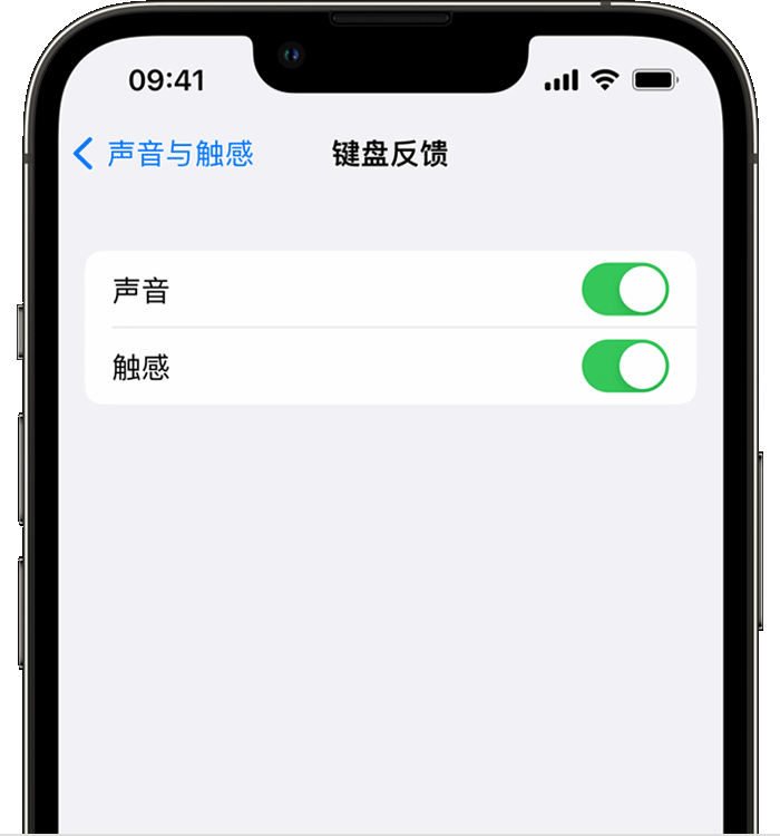 永仁苹果14维修分享iPhone 14 系列机型如何开启键盘声音或触感反馈 