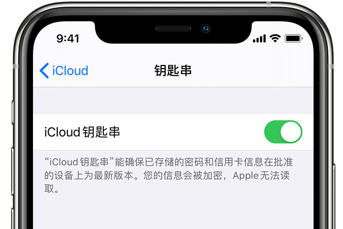 永仁苹果手机维修分享在 iPhone 上开启 iCloud 钥匙串之后会储存哪些信息 