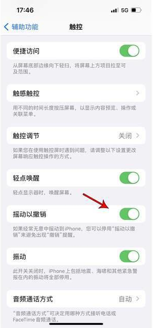 永仁苹果手机维修分享iPhone手机如何设置摇一摇删除文字 